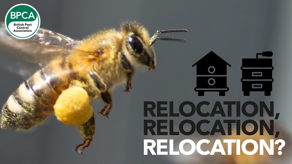 Relocation hero Relocation hero